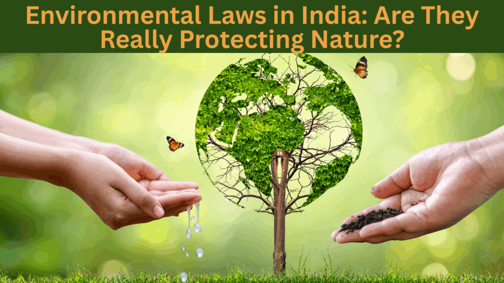 Environmental Laws in India: Are They Really Protecting Nature?