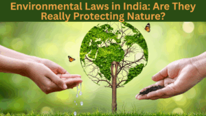 Environmental Laws in India