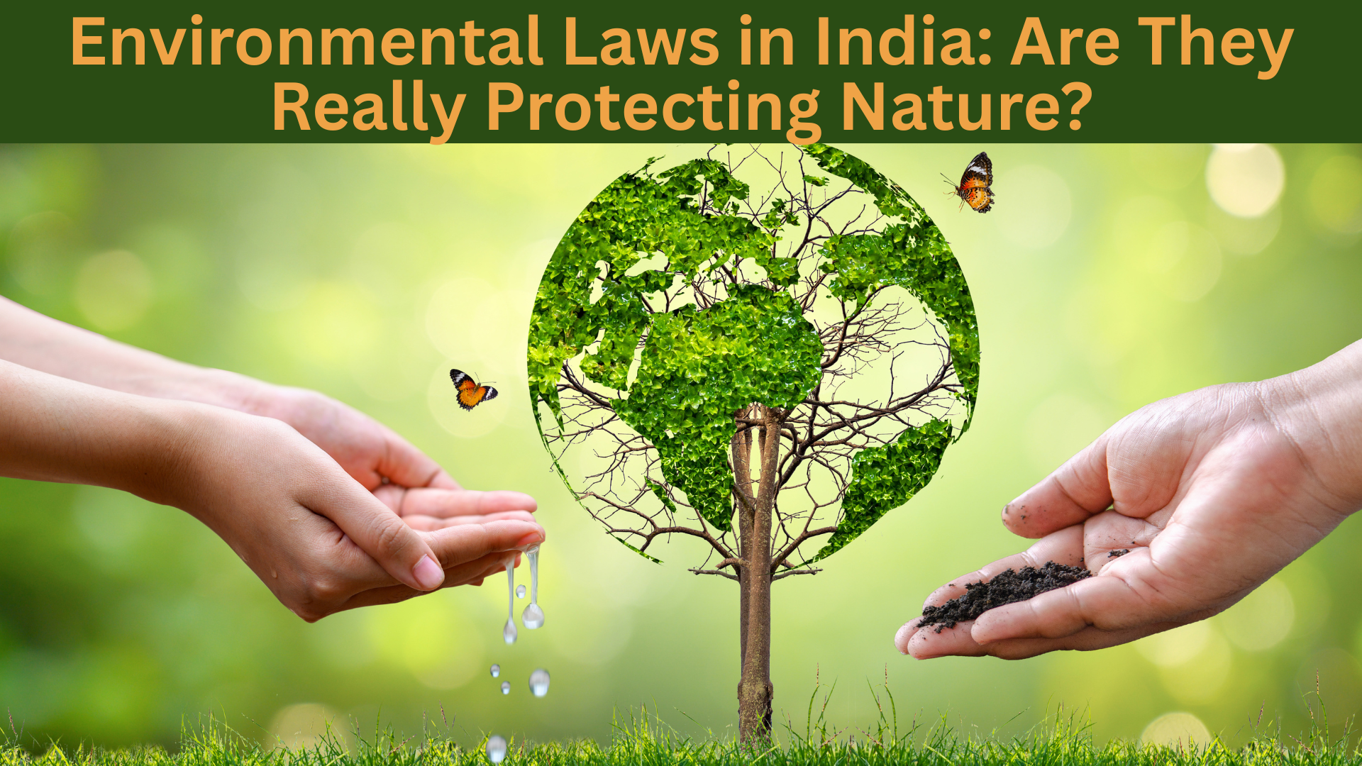 Environmental Laws in India